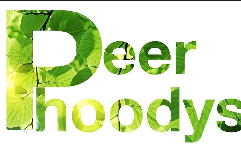HVX Peer Hoodies afbeelding
