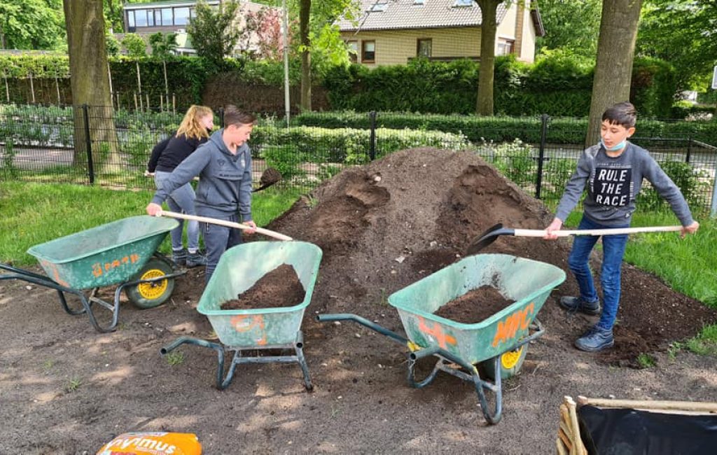 garden013 6